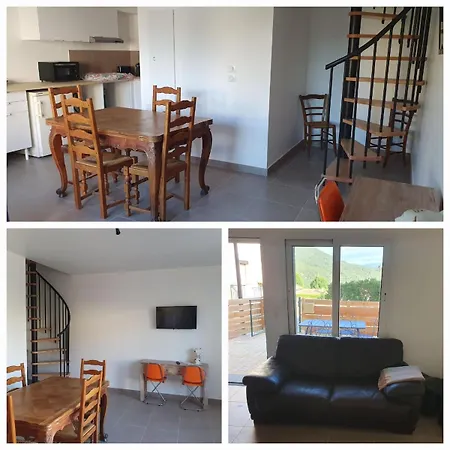 Duplex Neuf Avec Patio, Balcon, Plein Sud *